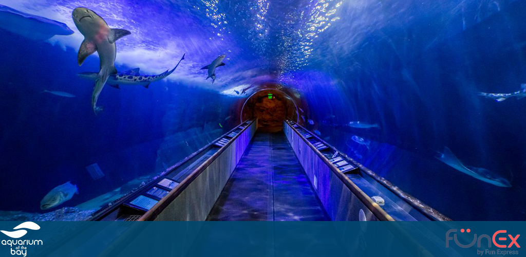 Aquarium of the Bay San Francisco funex discount ticket