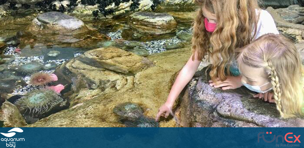 Aquarium of the Bay San Francisco funex discount ticket