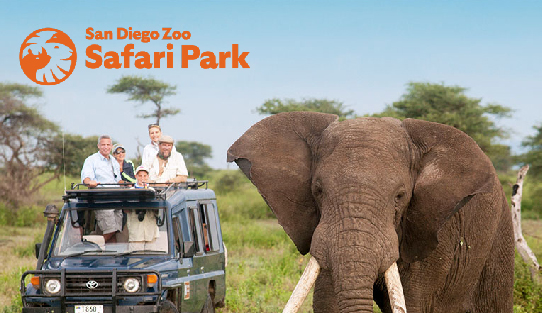 Safari Park