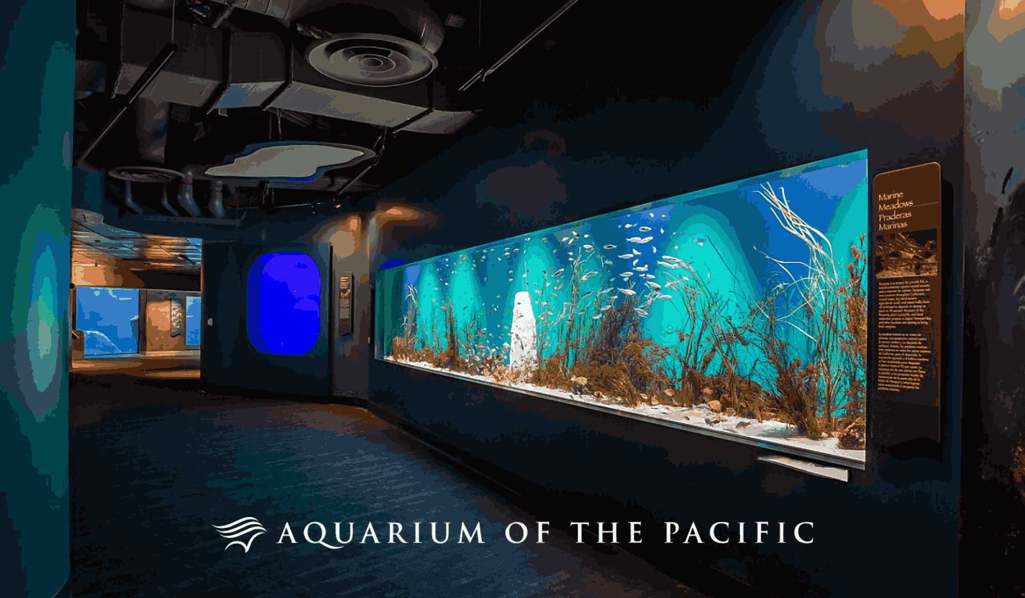 Aquarium of the Pacific