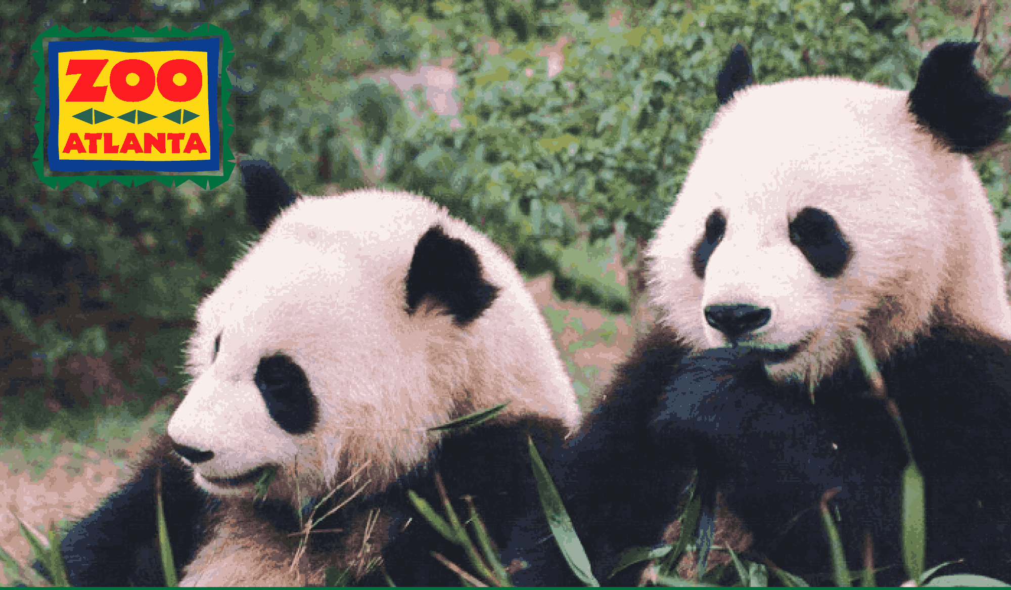 Zoo Atlanta