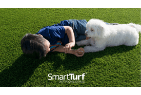Smart Turf Artificial Grass