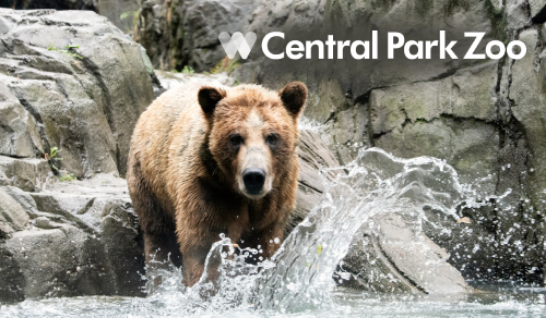 Central Park Zoo