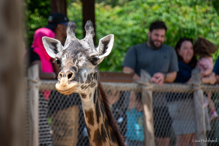 Cincinnati Zoo & Botanical Garden -