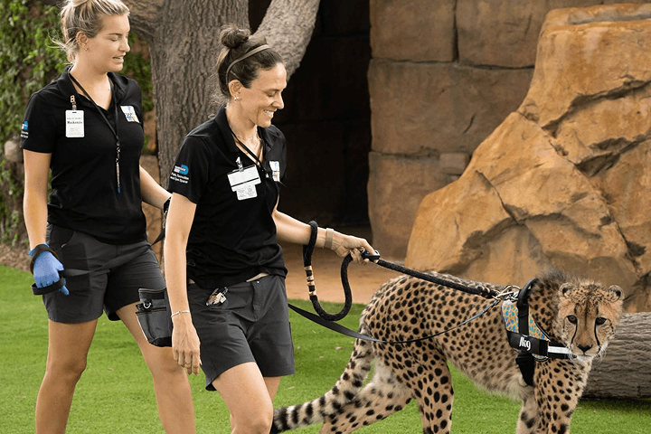 Zoo Miami -