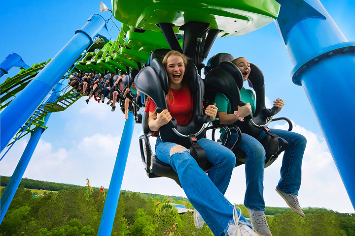 Wild Adventures -