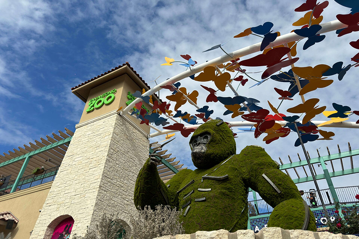 San Antonio CityPASS® -