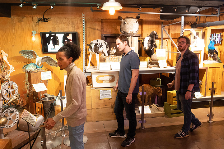Ripley's Believe It or Not! Hollywood -