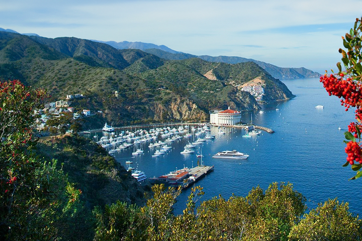 Catalina Express -