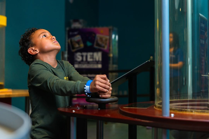 Discovery Children's Museum -