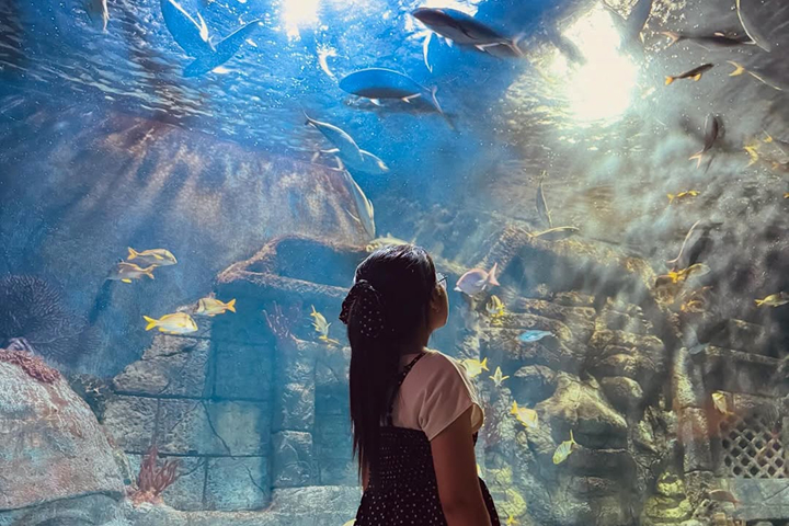 Downtown Aquarium Houston -