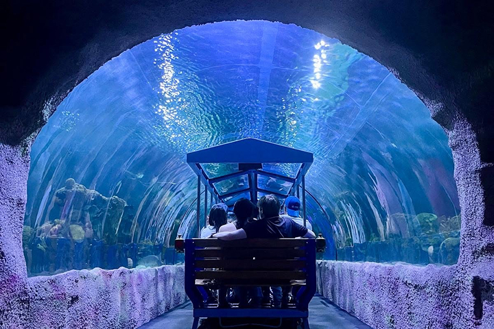 Downtown Aquarium Houston -