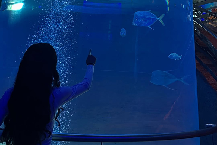 Downtown Aquarium Houston -