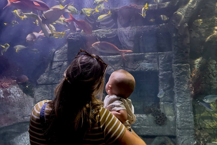 Downtown Aquarium Houston -
