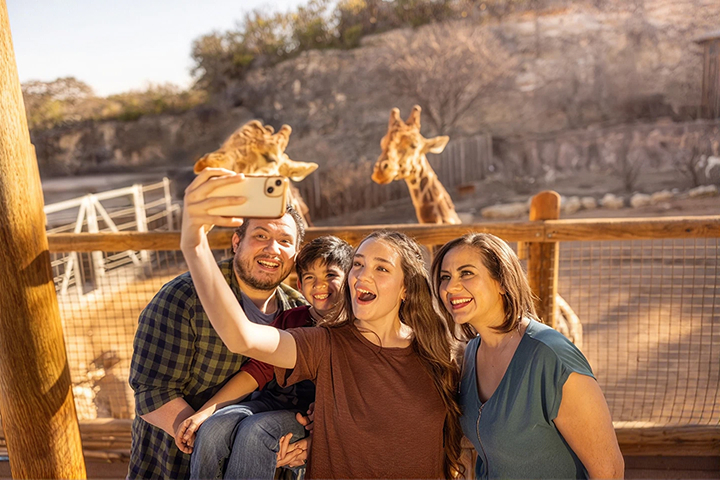 San Antonio Zoo -