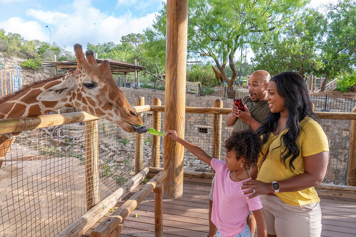 San Antonio Zoo -