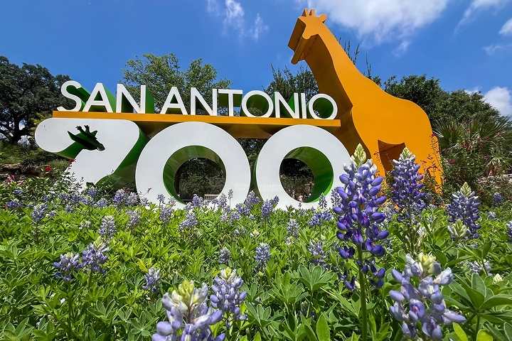 San Antonio Zoo -