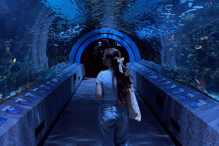 Newport Aquarium -