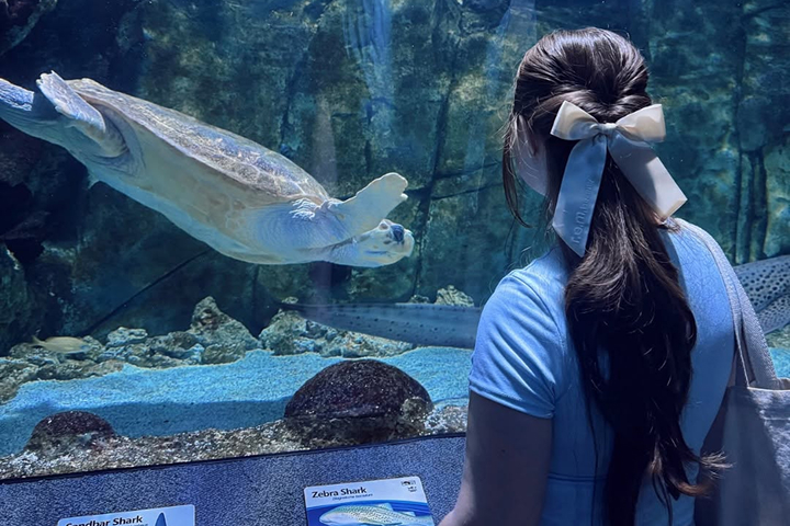 Newport Aquarium -
