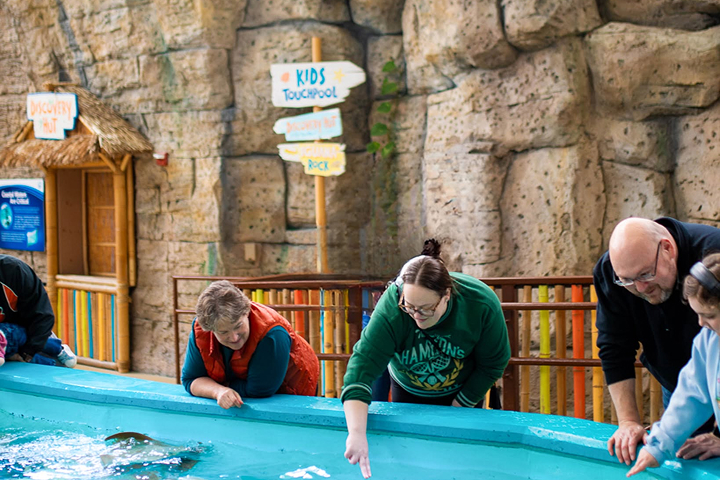 Newport Aquarium -