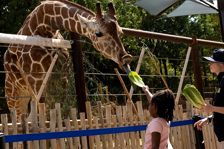 Zoo Atlanta -