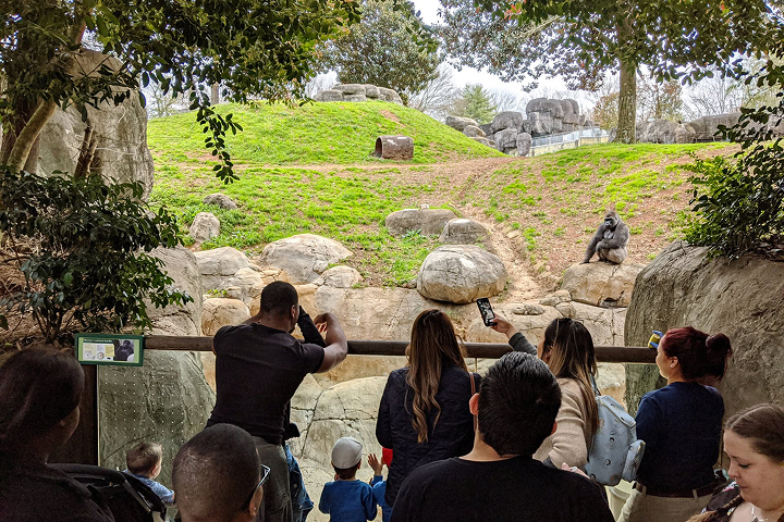 Zoo Atlanta -