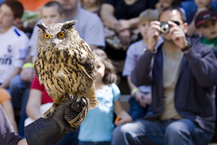 Zoo Atlanta -