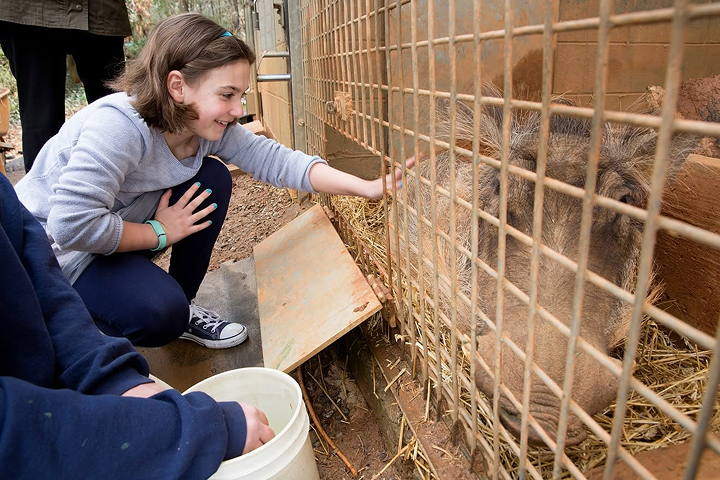 Zoo Atlanta -