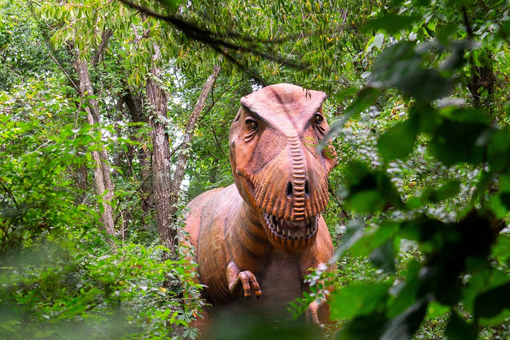 Dinosaur World Kentucky -