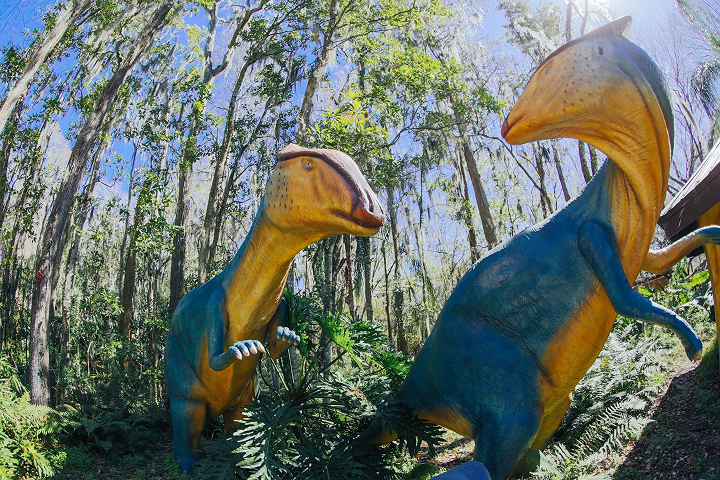 Dinosaur World Texas -