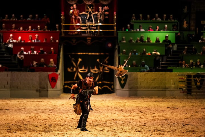 Medieval Times Buena Park -