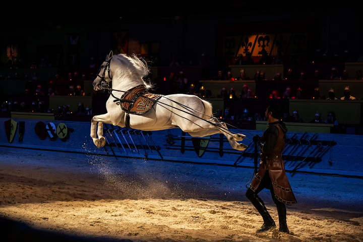 Medieval Times Buena Park -