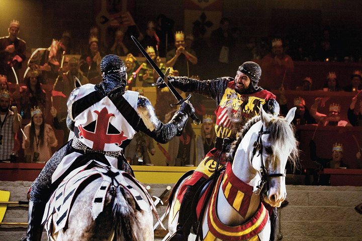 Medieval Times Atlanta -