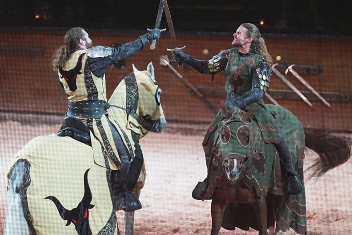 Medieval Times Atlanta -