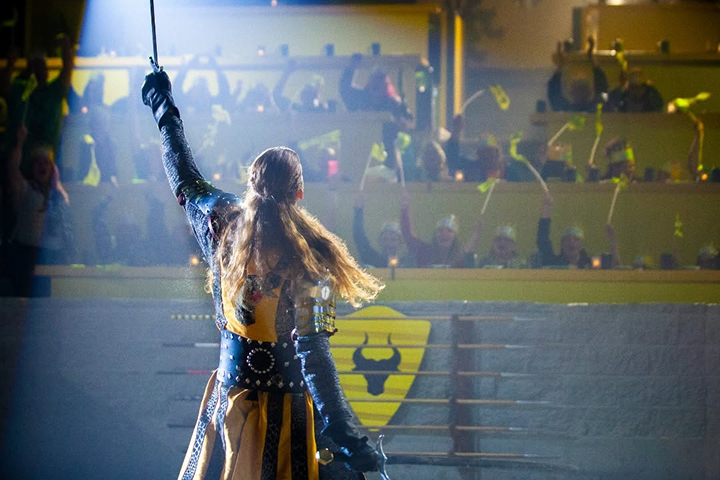 Medieval Times Chicago -