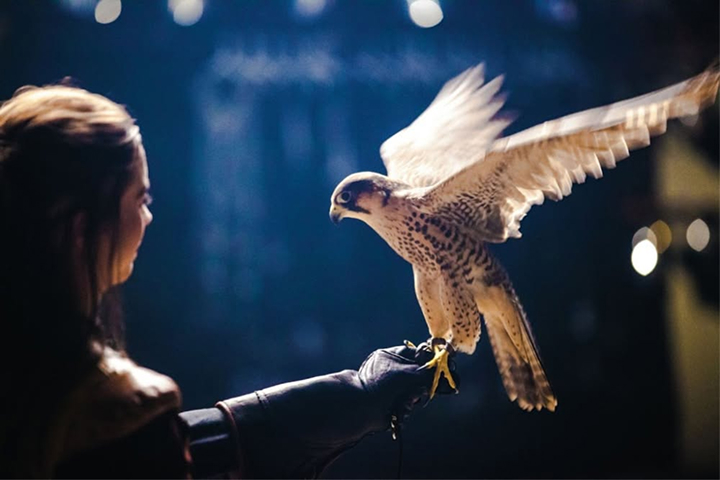 Medieval Times Chicago -