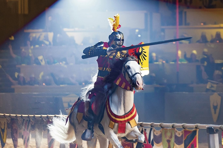 Medieval Times Chicago -