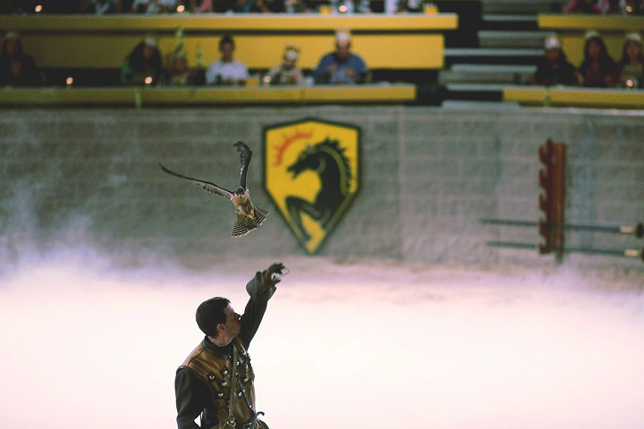 Medieval Times Dallas -
