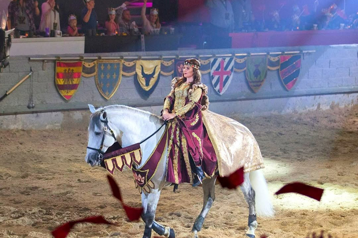 Medieval Times Dallas -