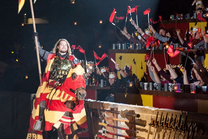Medieval Times Dallas -