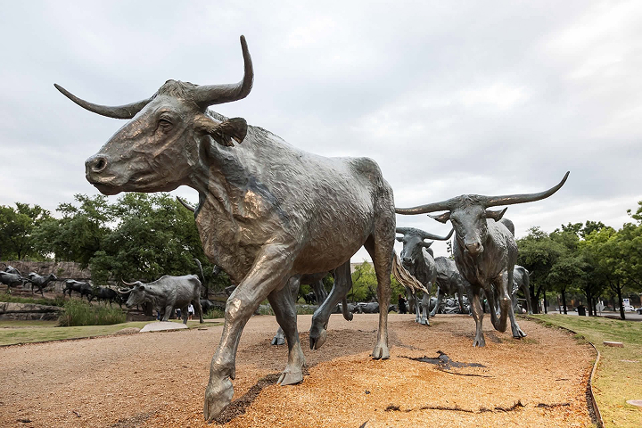 theJOYLAB Tours in Dallas-Fort Worth -