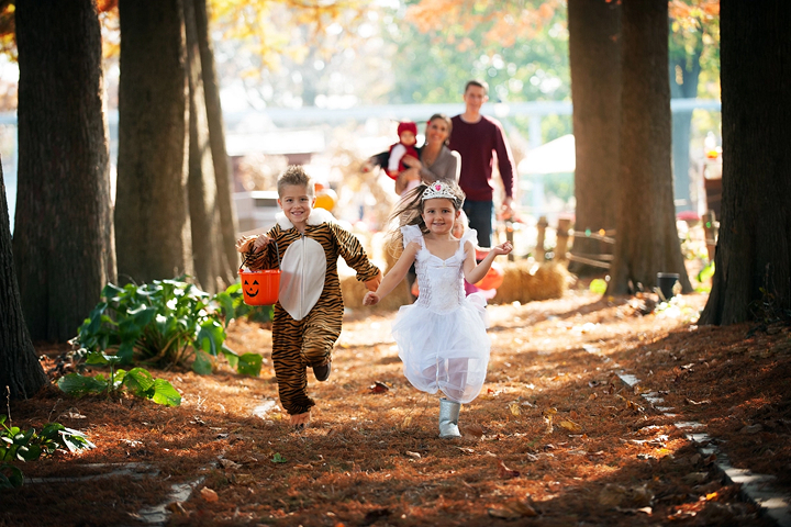 Idlewild Hallowboo -