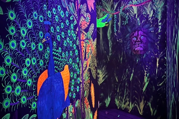 Idlewild Hallowboo -