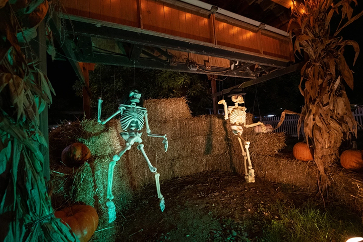 Dutch Wonderland - Happy Hauntings -