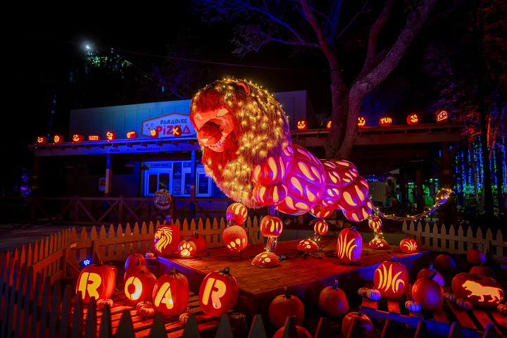 Wild Adventures Great Pumpkin LumiNights -