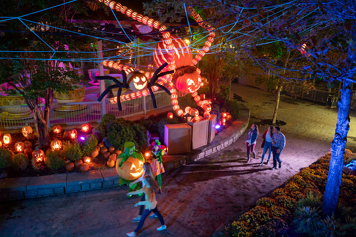 Silver Dollar City photo