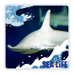 Sealife Orlando discount tickets