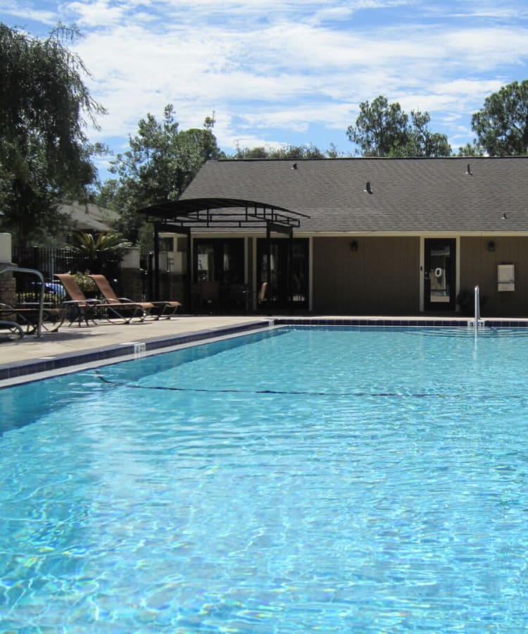Community pool with lounge chairs at Stone Creek in Tampa, Florida