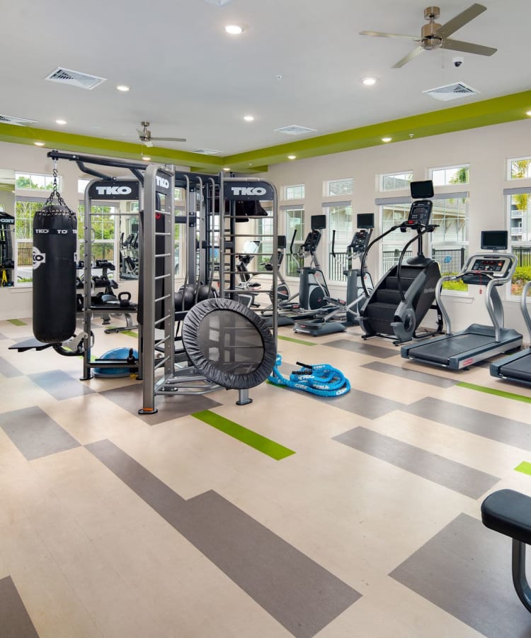 Community fitness center with cardio equipment at 北角的虹膜 in 鲁茨, 佛罗里达