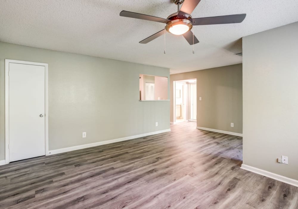 Open floor plan with hardwood floors and ceiling fan at Stone Creek in Tampa, Florida